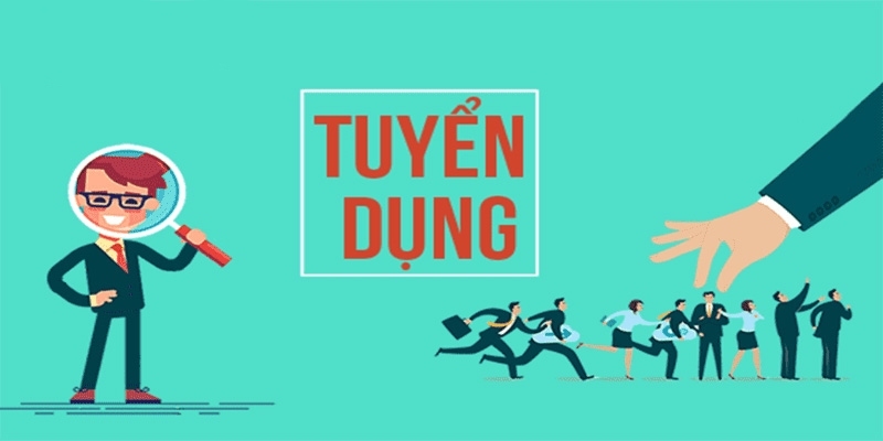 Có nhiều vị trí tuyển dụng để bạn lựa chọn dựa theo năng lực, kiến thức và kỹ năng đang có