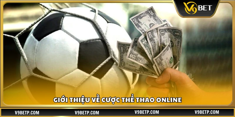 Khám phá cá độ thể thao qua mạng